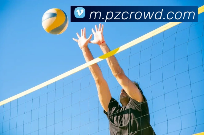 多媒体互动体验